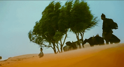 IMG_7969.GIF