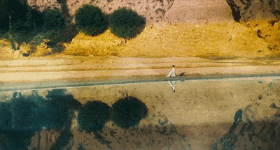 IMG_7968.GIF