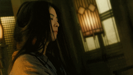 IMG_7982.GIF