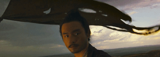 IMG_7987.GIF