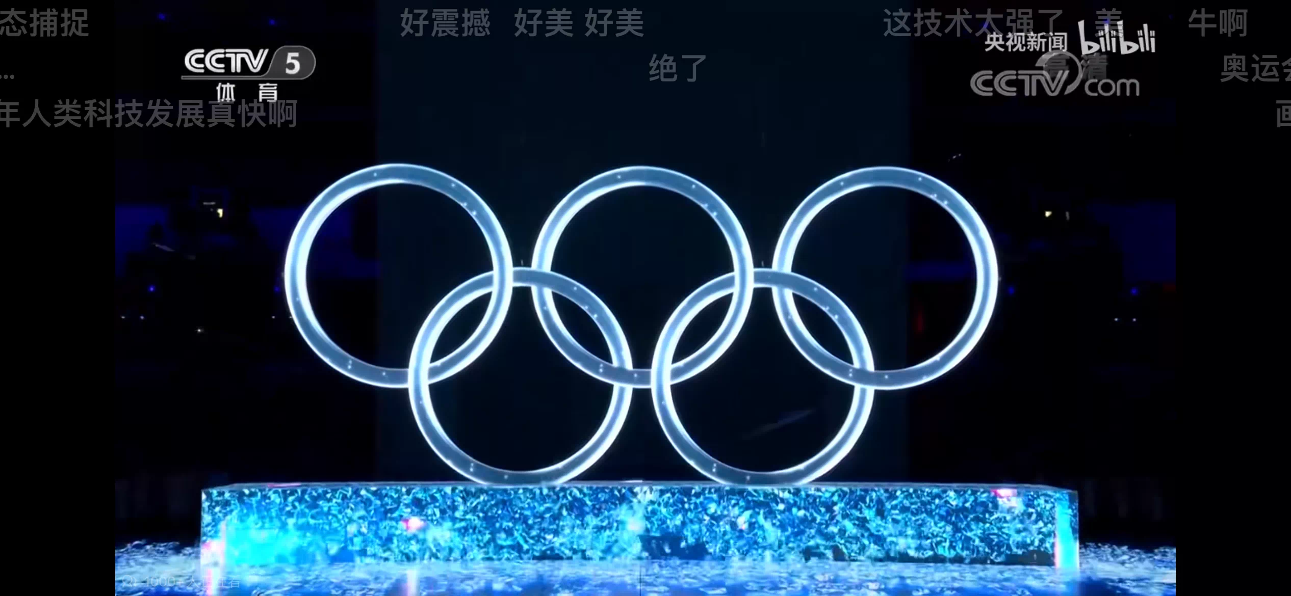 IMG_8453.PNG