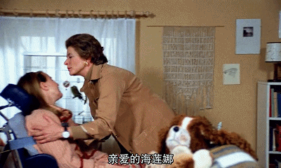 IMG_8508.GIF