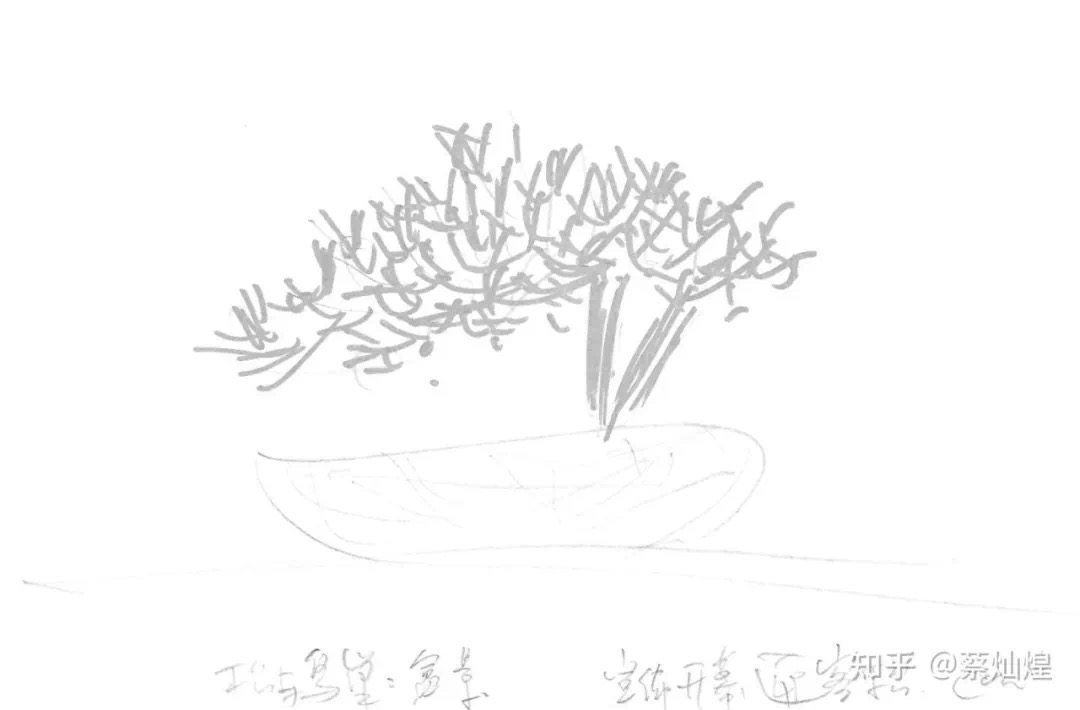 CD0D5B40-0BA4-4F05-94EB-5FAAA6ACAE2B.jpeg