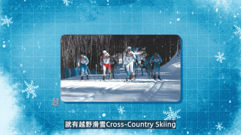 2.gif 2.gif