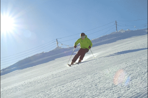 IMG_9481.GIF