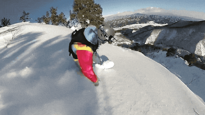 IMG_9502.GIF