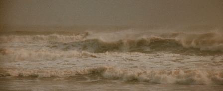 IMG_9908.GIF