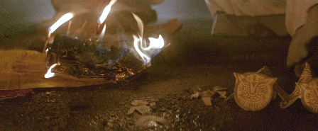 IMG_9952.GIF