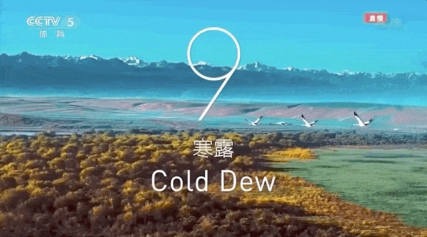 1.gif