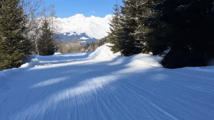 IMG_0567.GIF