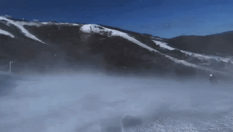 IMG_0582.GIF