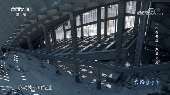 IMG_0667.GIF