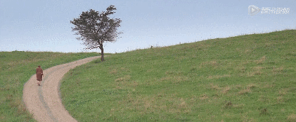 IMG_0718.GIF