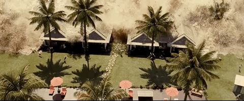 IMG_0755.GIF