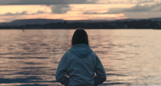 IMG_1484.GIF