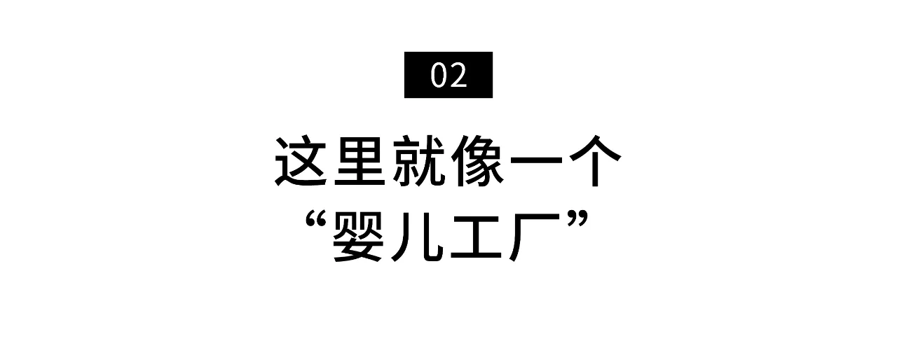 IMG_9138.PNG