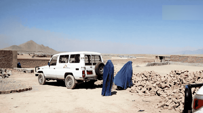IMG_9135.GIF