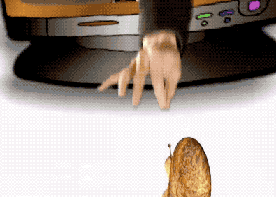 IMG_9162.GIF
