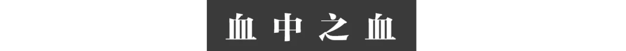 IMG_0329.PNG
