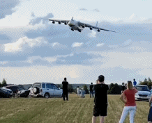 IMG_4212.GIF