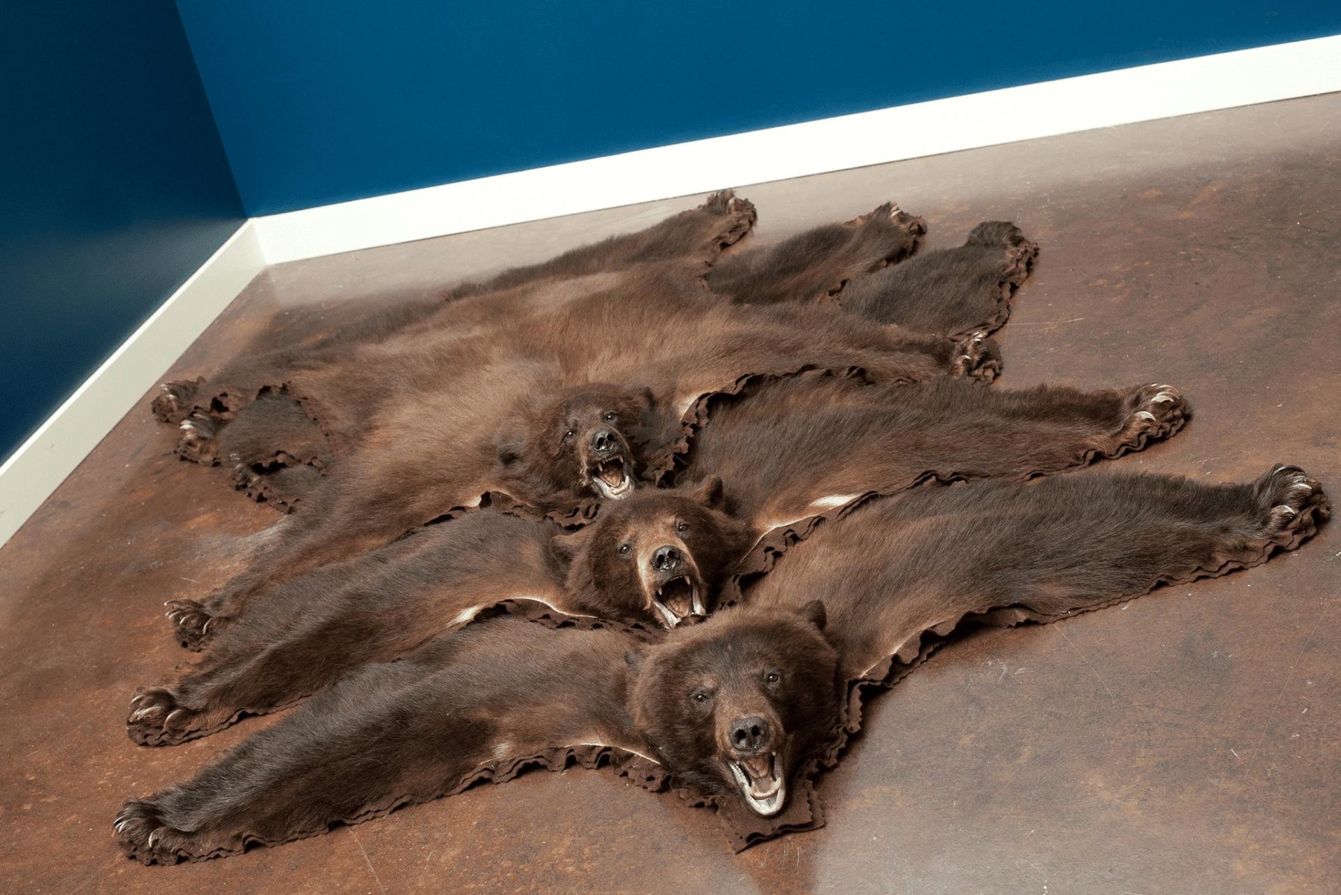 cinnamon-bear-rug.jpg
