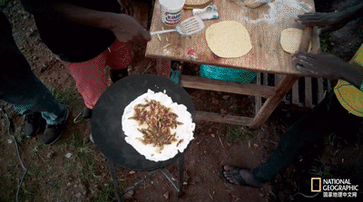 IMG_1380.GIF