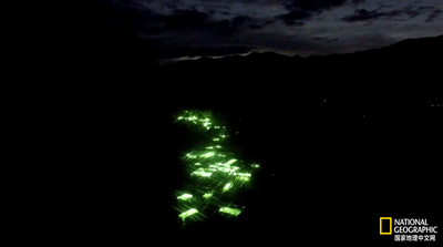 IMG_1386.GIF