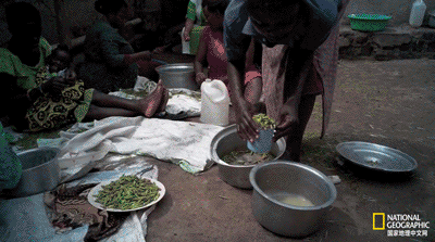 IMG_1397.GIF