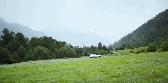 IMG_3356.GIF