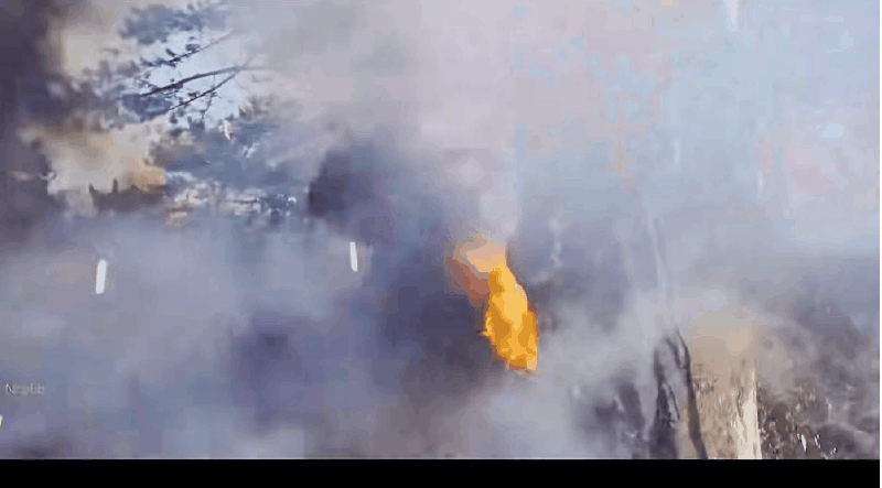 IMG_3616.GIF