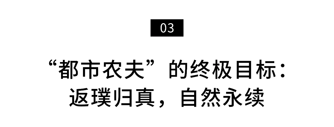IMG_4461.PNG