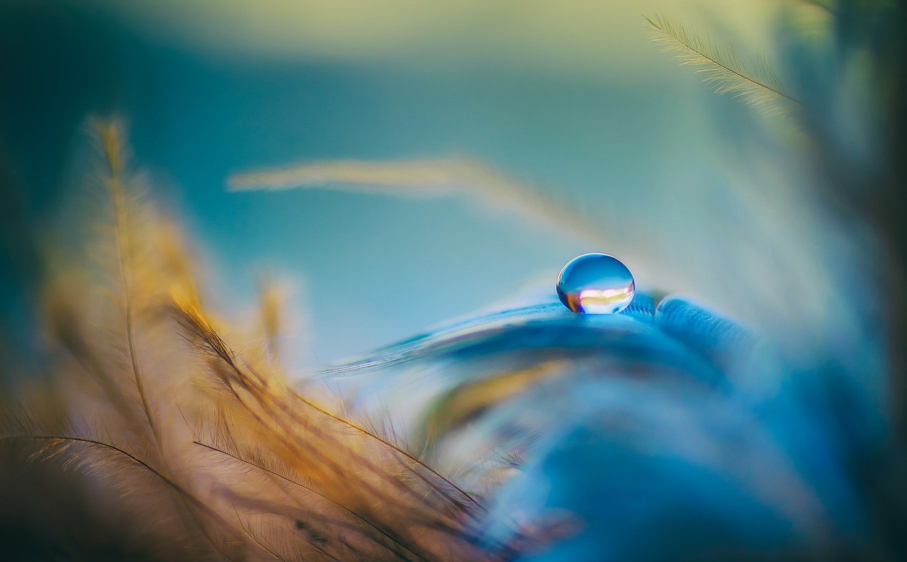 droplet-g0ec23f4fb_1280.jpg