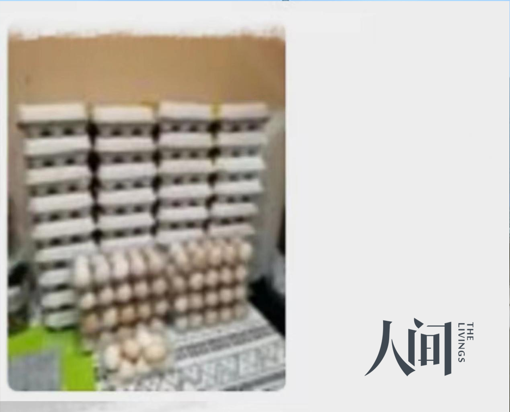 28.png