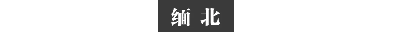 IMG_4741.PNG