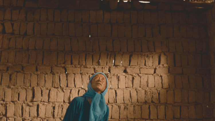 IMG_5865.GIF
