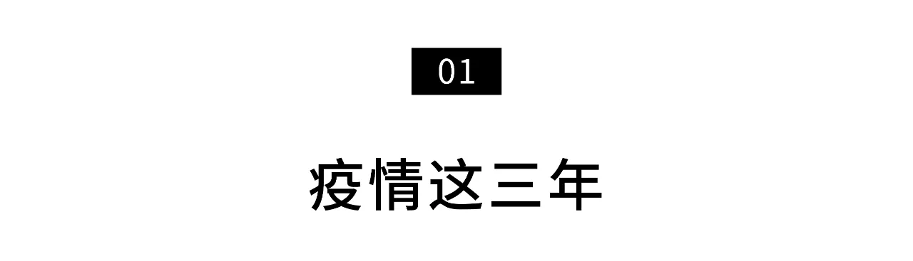 IMG_6905.PNG