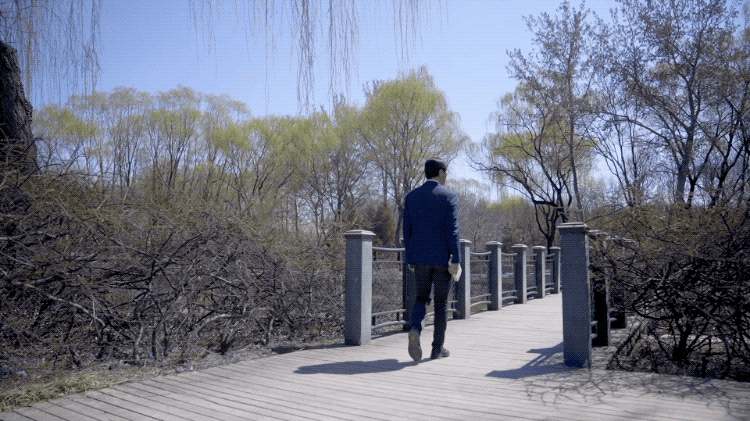 IMG_9341.GIF