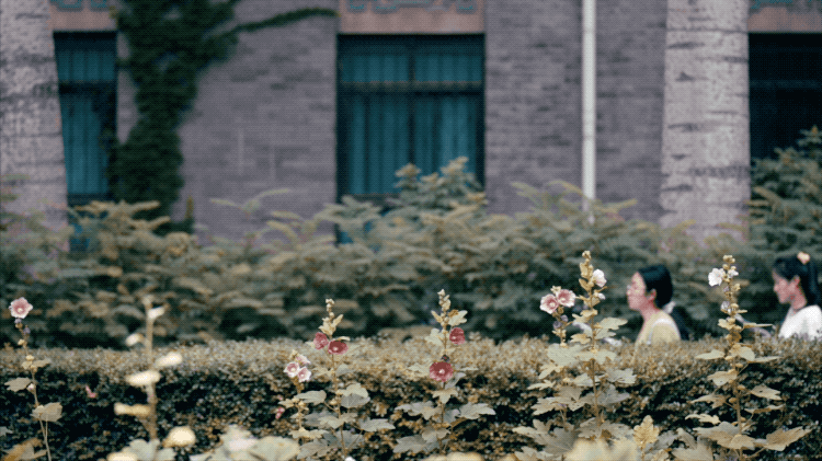 IMG_9351.GIF