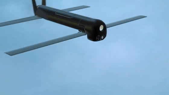 22.gif