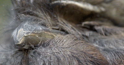IMG_7831.GIF
