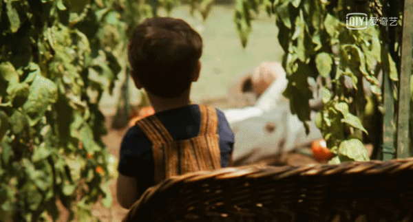 6.gif