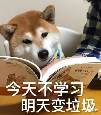 21.jpeg 21.jpeg