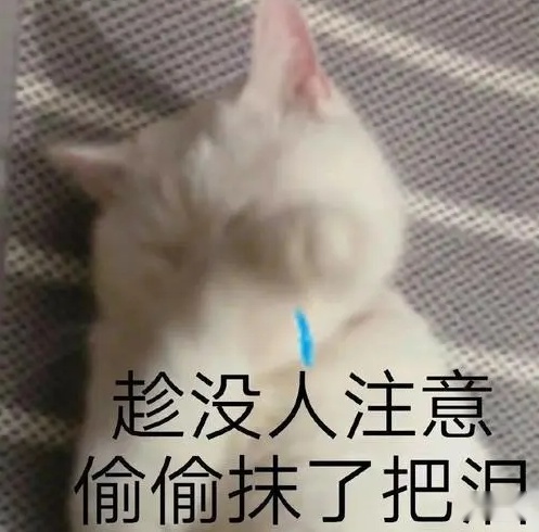 28.jpeg 28.jpeg