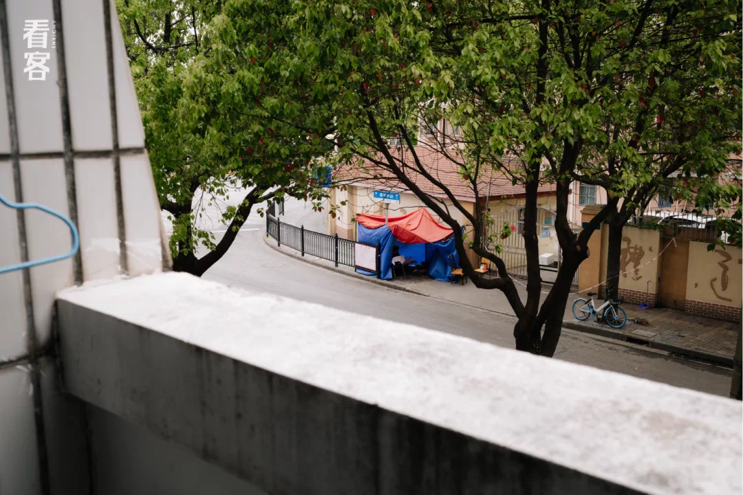 IMG_5501.PNG