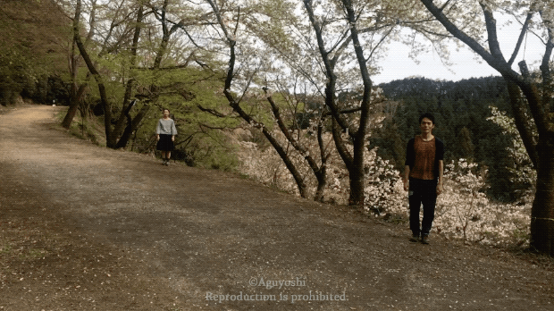 IMG_6837.GIF