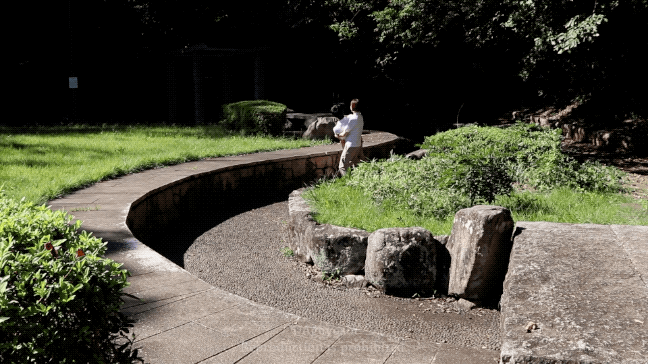 IMG_6851.GIF