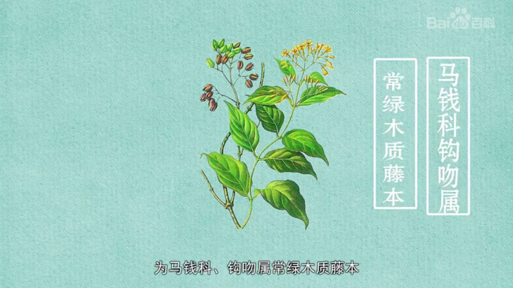 16.png 16.png