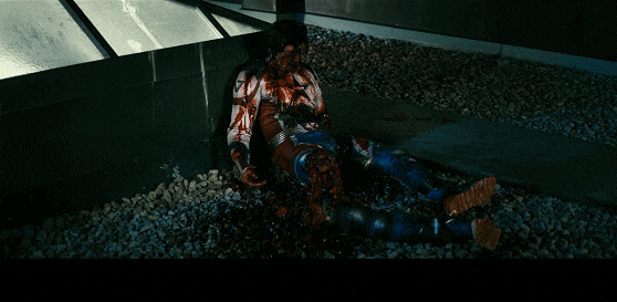 IMG_2166.GIF