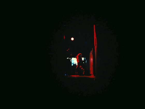 IMG_3632.GIF