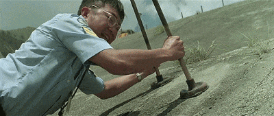 IMG_4109.GIF